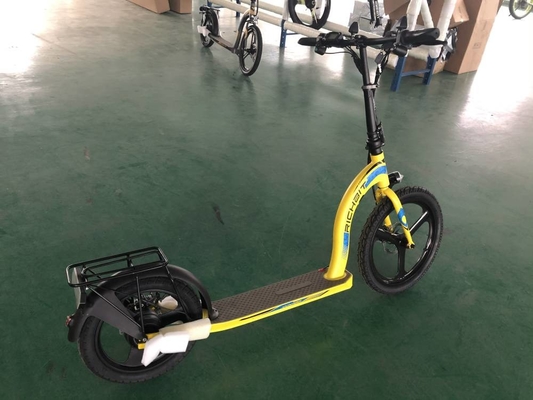 36-48V Electric Scooter Cycle With Removable Battery  30km/H