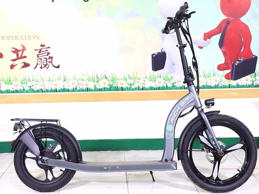 36-48V Electric Scooter Cycle With Removable Battery  30km/H