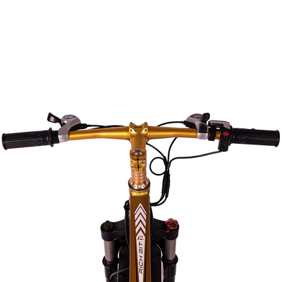 hardtail mountain e bike fat tire 1000w Rear Carrier Style Lithium Battery 17Ah