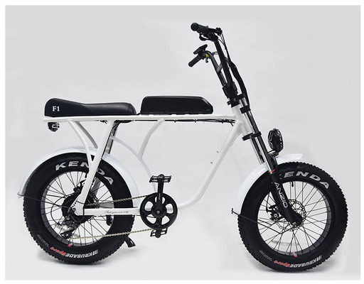 36v 20 Inch Fat Tire Ebike 350w Electric Bicycle 20 Inch Wheel 10ah Bafang 8fun Brushless