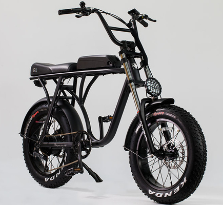 20" Big Fat Tire City Commuter Ebike Beach City Downtown 36v 10ah 350w