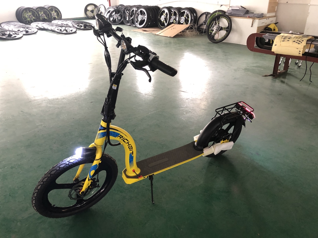 Front 20inch Rear 16inch Adults Electric Scooter 250w 36v Lithitum Battery