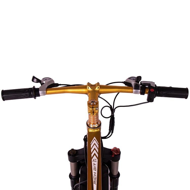 hardtail mountain e bike fat tire 1000w Rear Carrier Style Lithium Battery 17Ah
