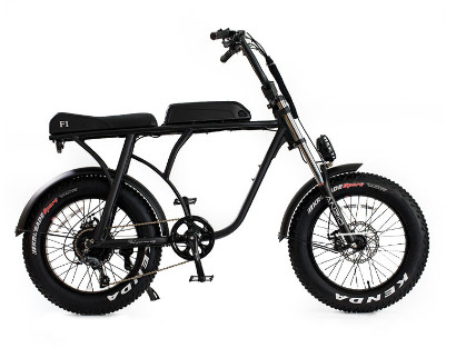 20" Fat Tire Electric Bike Beach Cruiser Snow Aluminum 36v 10ah 350w 8FUN Brushless