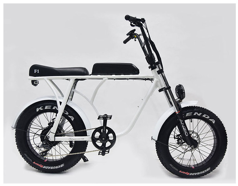 36v 20 Inch Fat Tire Ebike 350w Electric Bicycle 20 Inch Wheel 10ah Bafang 8fun Brushless