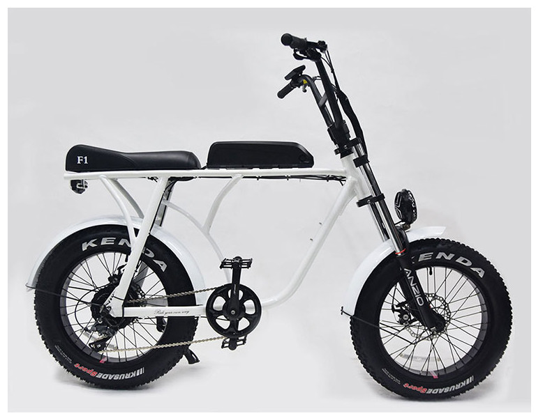36v 20 Inch Fat Tire Ebike 350w Electric Bicycle 20 Inch Wheel 10ah Bafang 8fun Brushless